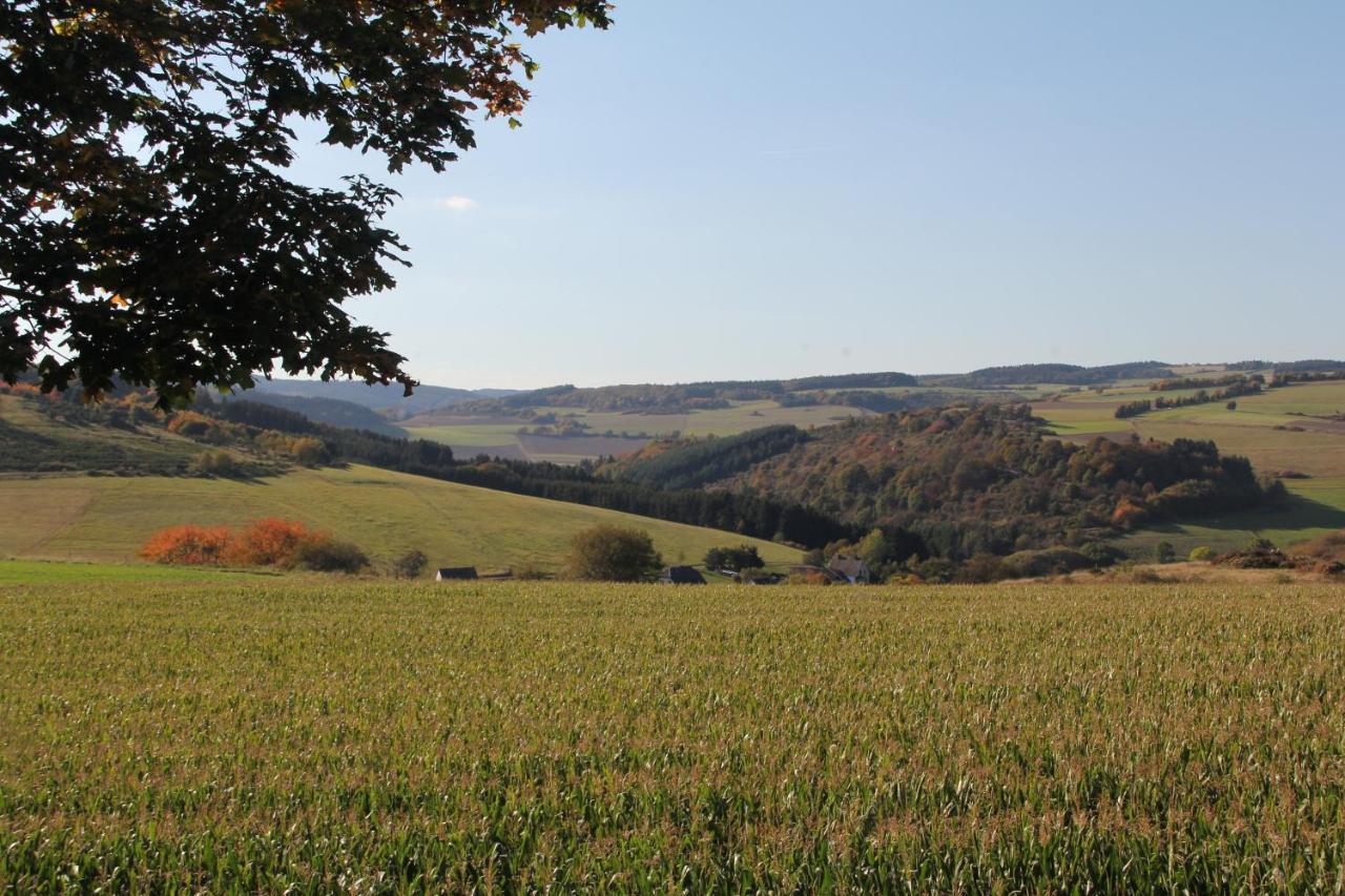 Ferienwohnung Heideblick Volkesfeld Buitenkant foto